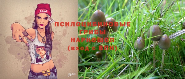 мдпв Вязники