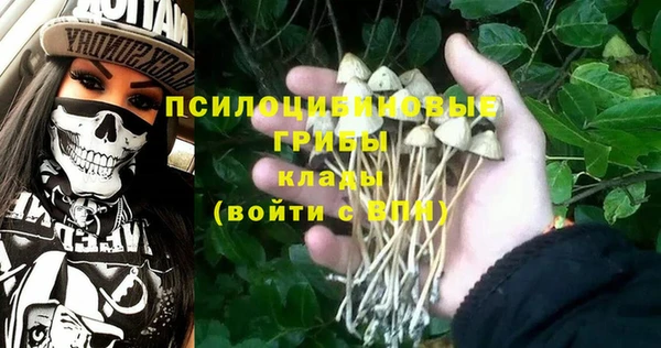 молекула духа Горно-Алтайск